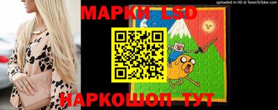 МДПВ Будённовск