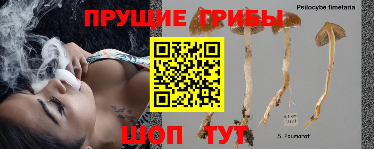 Псилоцибиновые грибы Magic Shrooms Кудымкар