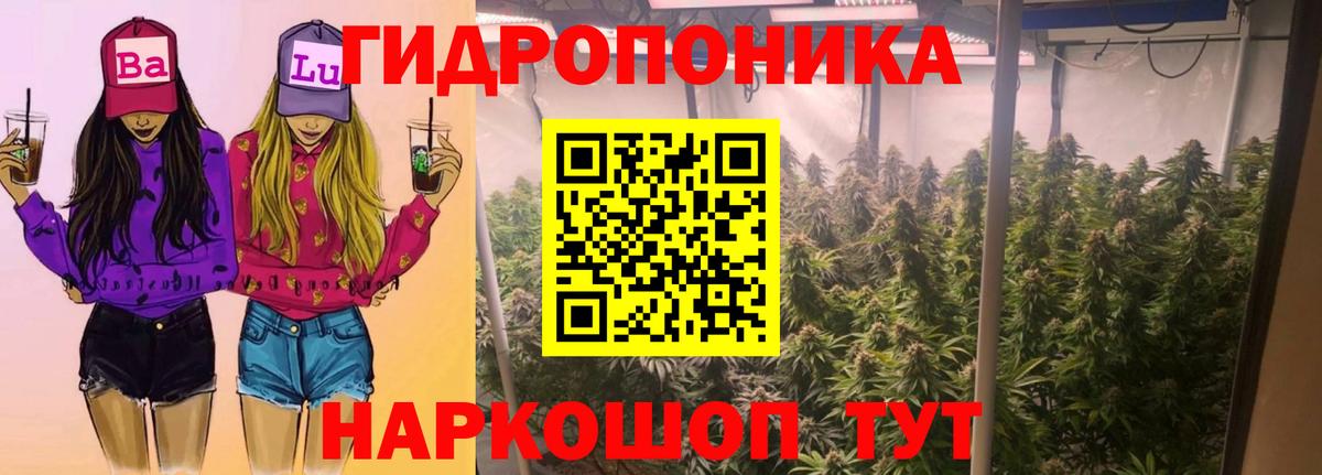 Марихуана SATIVA & INDICA Кудымкар